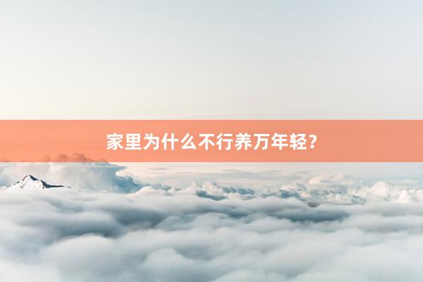 家里为什么不行养万年轻？